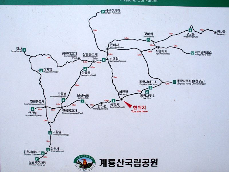 배재반찬 이미지