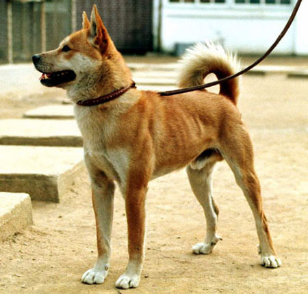 일호 이미지