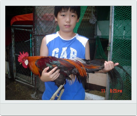 동천홍 이미지