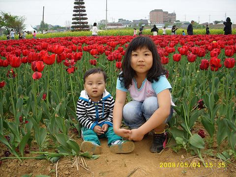 보물단지 이미지