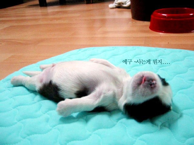 방이 이미지