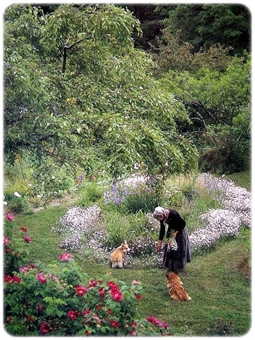 타샤의정원 이미지