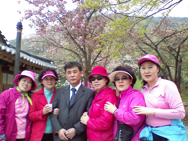봉황사 이미지