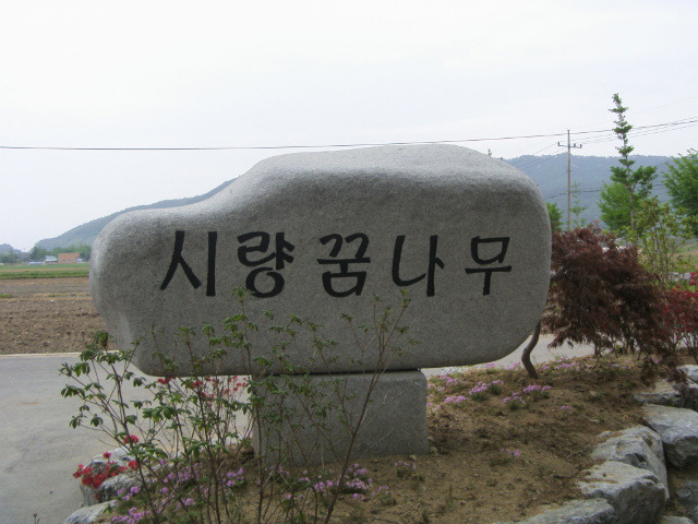 시량초등학교 이미지