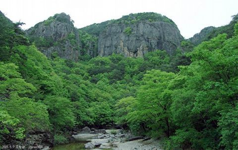 미래고속관광(주) 이미지