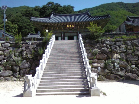 태백안동축산 이미지